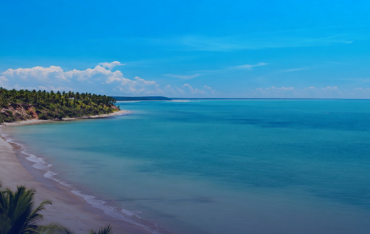 Qual carro alugar em Porto Seguro?
